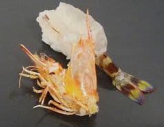 廻転寿司 冨士丸 小田部店 2