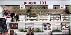 ポンゴ101 2