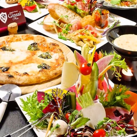 GINSAI PLUS ギンサイ プラス