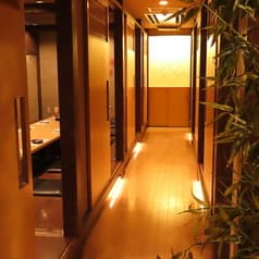 亀さん かめさん  2