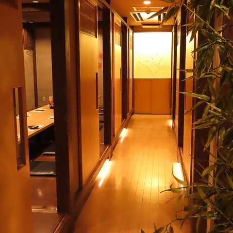 亀さん かめさん 