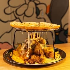 SCHOLE スコレー  2