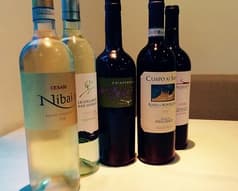 トラットリア：ピノーロ 2