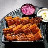 うなぎ家 はせ川本店 3