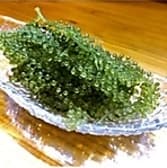 南国ダイニング むーんすとーん 3