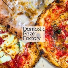 domestic pizza factory 2