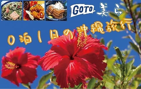 琉泡楽園 美ら 敦賀店