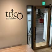 cafe&bar trico トリコ 3