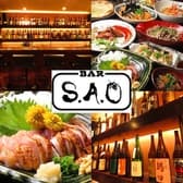 S.A.O エスエーオー 3