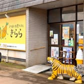 さつまいも農カフェきらら 3