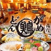 大衆居酒屋 どんがめ 本町店 3