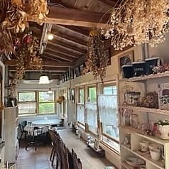 ZakkaCafe Rose House ザッカカフェ ローズハウス 2