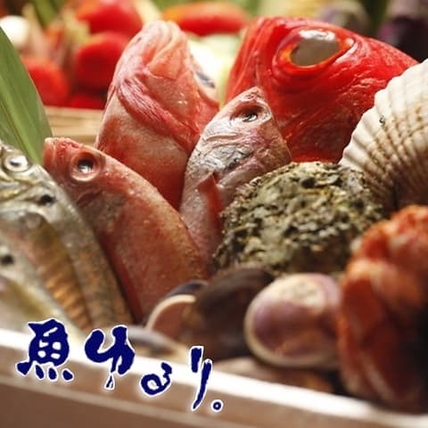 魚ゆるり 平塚