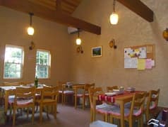 ドッグ&ベジレストラン トゥルシー 2