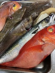 色菜広場いっぽいっぽ 2