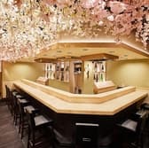 Tempura Asakusa SAKURA さくら 3