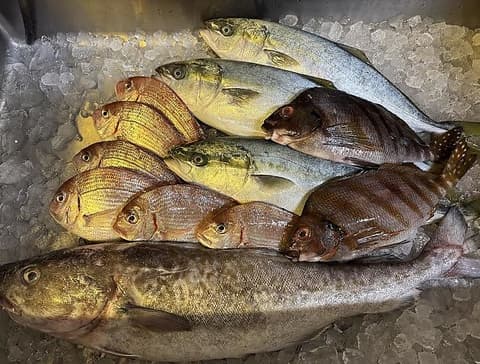 海の幸 たちばな家