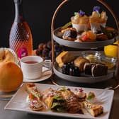 Cafe2＋6 カフェ ニトロ 3