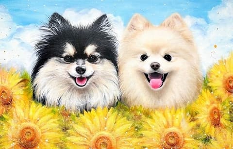 ごはん家PUALA プアラ