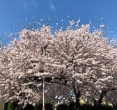 北の台所 おんじき 八王子 3