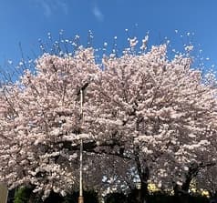 北の台所 おんじき 八王子 2