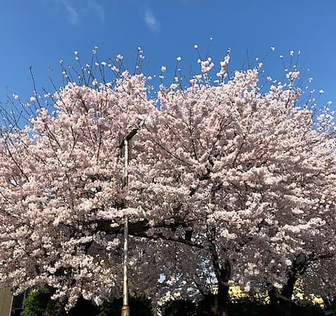 北の台所 おんじき 八王子