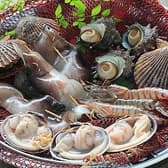 二見浦シーサイドバーベキュー場 3