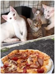 LA HOJU ラホウジュ 2