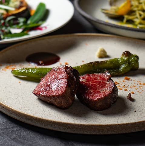 DRAWING HOUSE OF NAKANOSHIMA ドローイングハウスオブナカノシマ