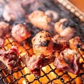 ゴールデンホルモン 横浜 YOKOHAMA 3