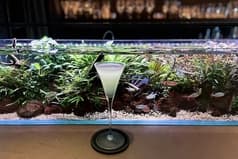 BAR AQUA CAVE バーアクアケイブ 2