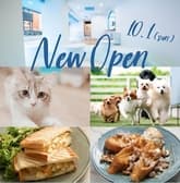 Buzz Cafe by ANELLA バズ カフェ バイ アネラ 浦安店 3