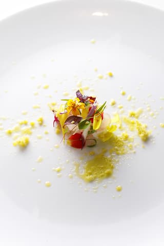 ランス ヤナギダテ