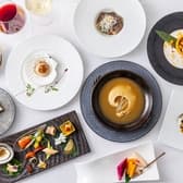 フカヒレ専門店 銀座七芳 3