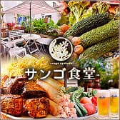 サンゴ食堂 3
