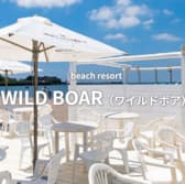 WILD BOAR ワイルドボア 3