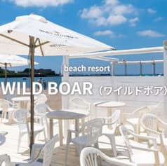 WILD BOAR ワイルドボア 2