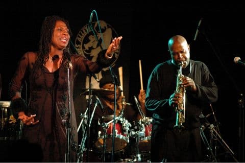 ブルース アレイ ジャパン