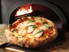 フリッツァ 石窯グリル FRIZZA 2