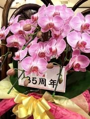 仏蘭西料理 ミルフィーユ 2