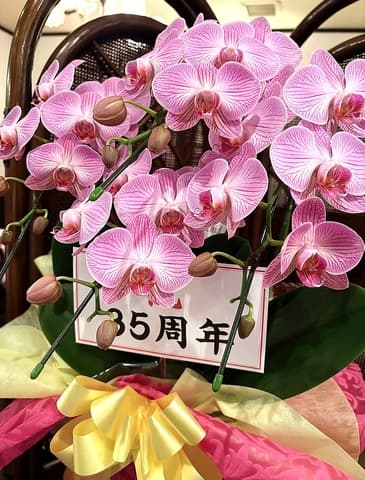 仏蘭西料理 ミルフィーユ