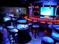 バー シャーク bar shark 2