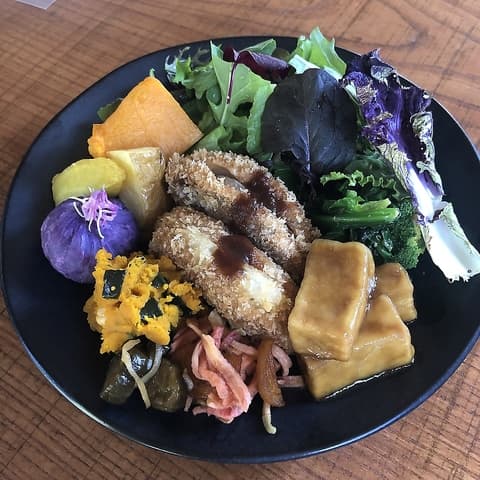 シャインハウス