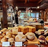 菓酒発酵odd オッド 3