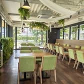 evergreen cafe restaurant ebisu エバーグリーンカフェレストランエビス 3