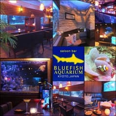 ブルーフィッシュ アクアリウム 京都 BLUEFISH AQUARIUM 2
