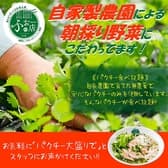 ベトナム料理 ふぉーの店 枚方店 3