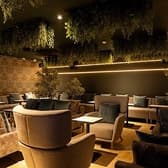 C STAND シースタンド 大和店 3