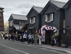 台湾茶房 ホワイトアレイ 2