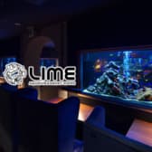 アクアリウムイタリアン 心斎橋 ライム 3